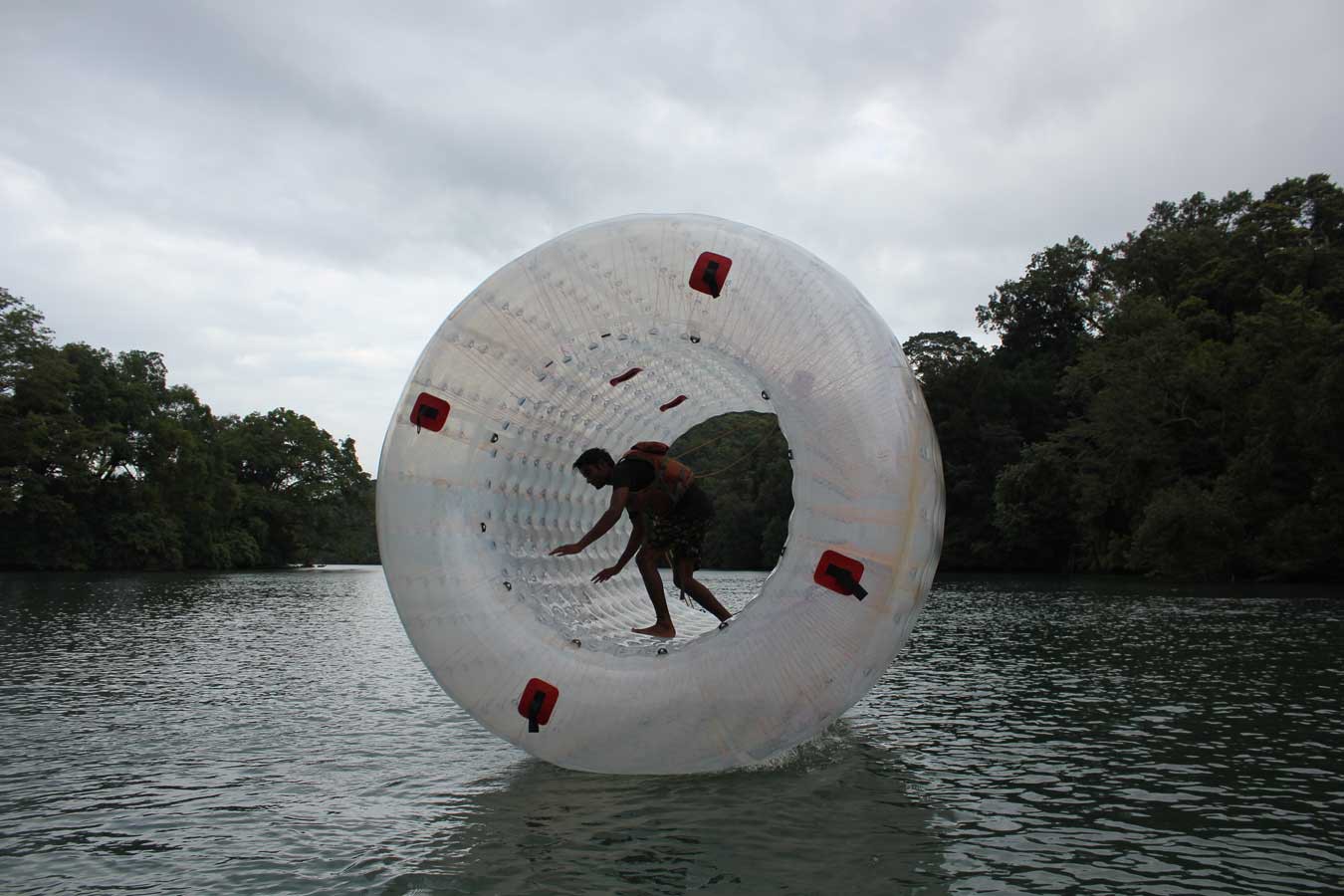 zorbing